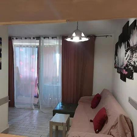 Apartament T2 Alhambra Avec Piscine A 800 M Richelieu Et 300m Ile Des Loisirs Agde