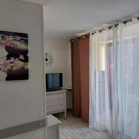 T2 Alhambra Avec Piscine A 800 M Richelieu Et 300m Ile Des Loisirs * 아그