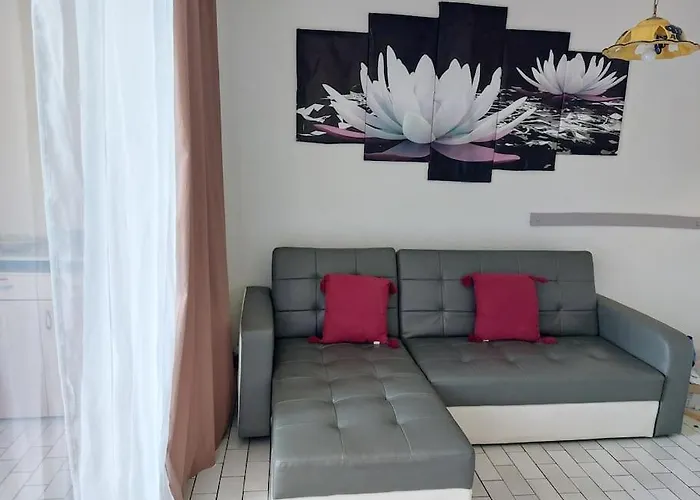 T2 Alhambra Avec Piscine A 800 M Richelieu Et 300m Ile Des Loisirs *