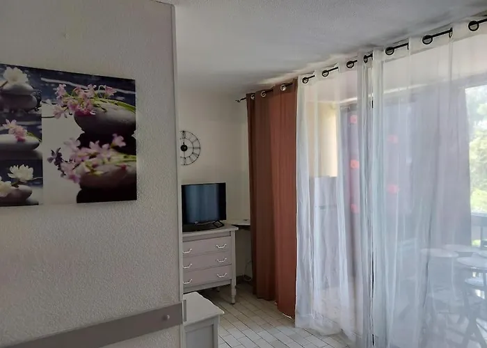 T2 Alhambra Avec Piscine A 800 M Richelieu Et 300m Ile Des Loisirs * Agde